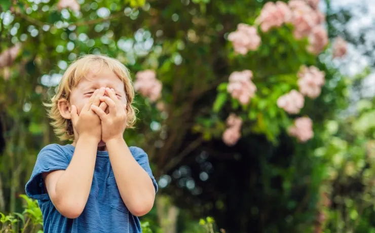 The Best Allergy Meds for Spring, Summer, and Fall Relief